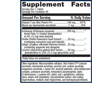 Echinacea Synergy